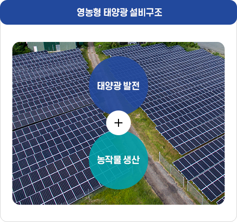  영농형 태양광 설비구조리 : 자세한 설명은 하단 참조